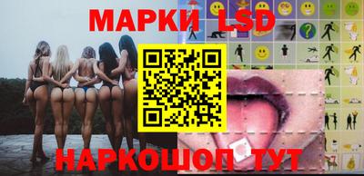 прущие грибы Будённовск