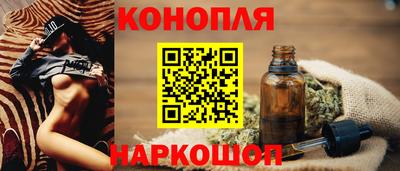 прущие грибы Будённовск