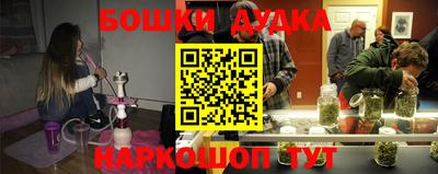 прущие грибы Будённовск