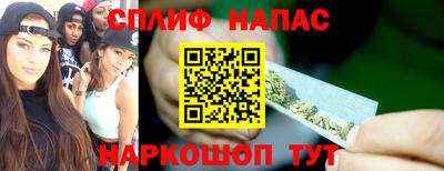 прущие грибы Будённовск