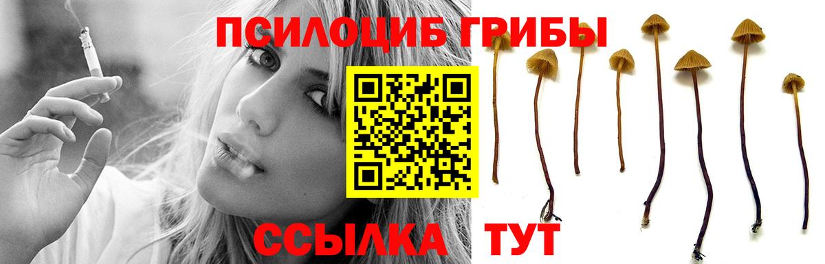 Северск  Псилоцибиновые грибы GOLDEN TEACHER  Галлюциногенные грибы Psilocybe  Вход с VPN 